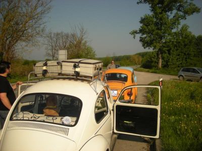 Klikni za sliku u punoj veličini
