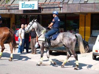 Klikni za sliku u punoj veličini