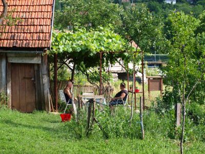 Klikni za sliku u punoj veličini