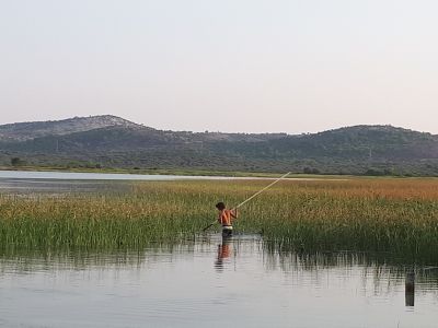 Klikni za sliku u punoj veličini