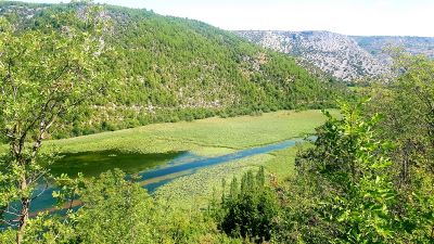 Klikni za sliku u punoj veličini