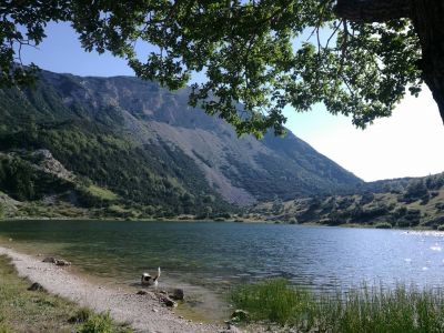 Klikni za sliku u punoj veličini