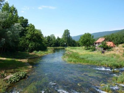 Klikni za sliku u punoj veličini