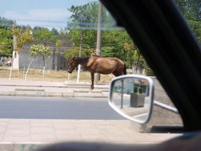 Klikni za sliku u punoj veličini