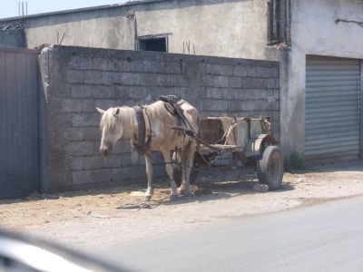 Klikni za sliku u punoj veličini