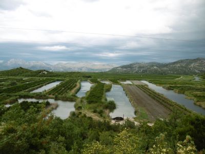 Klikni za sliku u punoj veličini