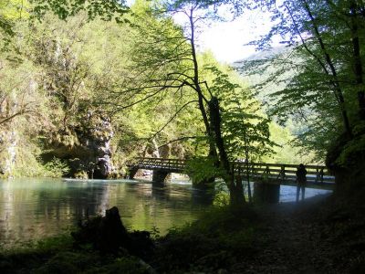 Klikni za sliku u punoj veličini