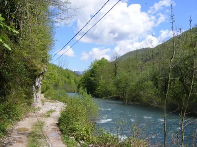 Klikni za sliku u punoj veličini