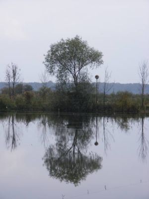 Klikni za sliku u punoj veličini