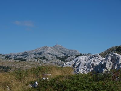 Klikni za sliku u punoj veličini