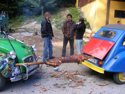 Klikni za sliku u punoj veličini