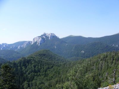 Klikni za sliku u punoj veličini