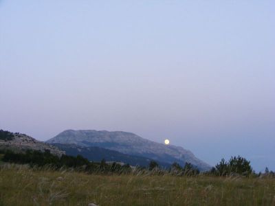 Klikni za sliku u punoj veličini