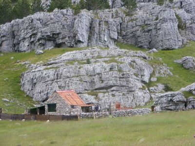 Klikni za sliku u punoj veličini