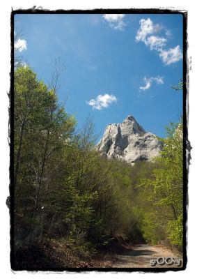 Klikni za sliku u punoj veličini