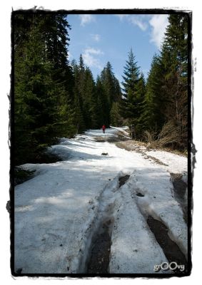 Klikni za sliku u punoj veličini