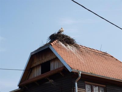 Klikni za sliku u punoj veličini