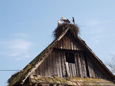 Klikni za sliku u punoj veličini