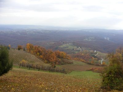 Klikni za sliku u punoj veličini