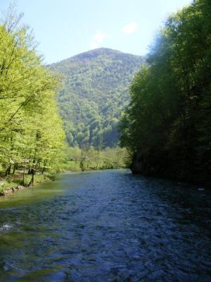 Klikni za sliku u punoj veličini