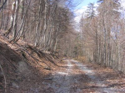 Klikni za sliku u punoj veličini