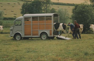 Klikni za sliku u punoj veličini