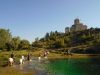 Naziv slike : DSC00036~0.jpg
Veličina slike : 485KB
Dimenzije : 900x675
Dodana dana : Lis 16, 2016 DSC00036~0.jpg