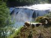 Naziv slike : DSC07332.jpg
Veličina slike : 783KB
Dimenzije : 900x675
Dodana dana : Lis 16, 2016 DSC07332.jpg
