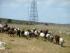 Naziv slike : P1000868.jpg
Veličina slike : 467KB
Dimenzije : 900x675
Dodana dana : Lis 16, 2016 P1000868.jpg