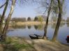 Naziv slike : idila_jpg.jpg
Veličina slike : 42KB
Dimenzije : 448x336
Dodana dana : Stu 25, 2005 idila_jpg.jpg