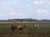 Naziv slike : lo083~0.jpg
Veličina slike : 37KB
Dimenzije : 692x519
Dodana dana : Lis 14, 2008 lo083~0.jpg