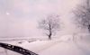 Naziv slike : pin26_jpg.jpg
Veličina slike : 9KB
Dimenzije : 600x369
Dodana dana : Stu 25, 2005 pin26_jpg.jpg