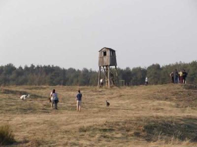 Klikni za sliku u punoj veličini