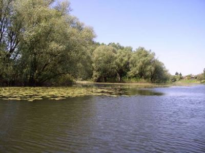 Klikni za sliku u punoj veličini