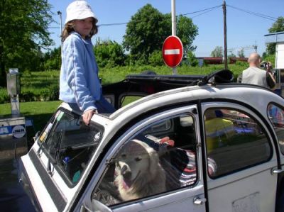 Klikni za sliku u punoj veličini