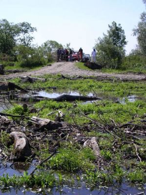 Klikni za sliku u punoj veličini