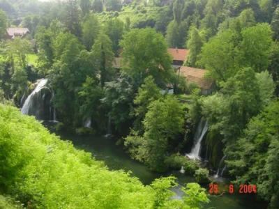 Klikni za sliku u punoj veličini