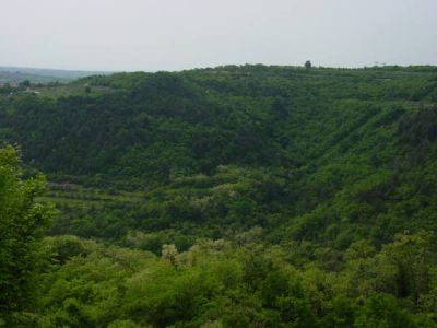 Klikni za sliku u punoj veličini