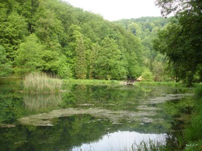 Klikni za sliku u punoj veličini