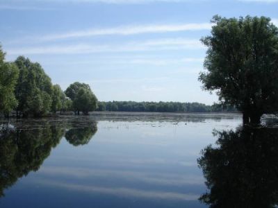 Klikni za sliku u punoj veličini