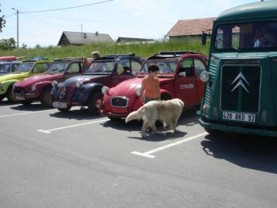 Klikni za sliku u punoj veličini