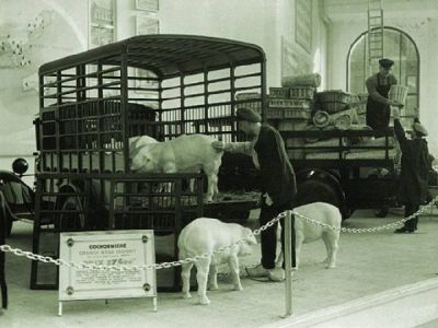 Klikni za sliku u punoj veličini