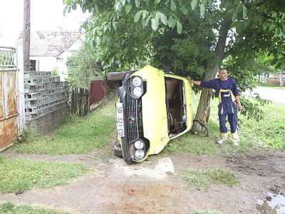 Klikni za sliku u punoj veličini