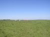 Naziv slike : 116.jpg
Veličina slike : 39KB
Dimenzije : 600x449
Dodana dana : Stu 24, 2005 116.jpg