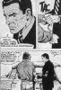 strip180.jpg